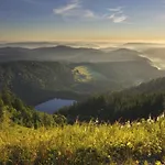 公寓 Gemuetliche Naehe Karlsruhe & Baden-baden *