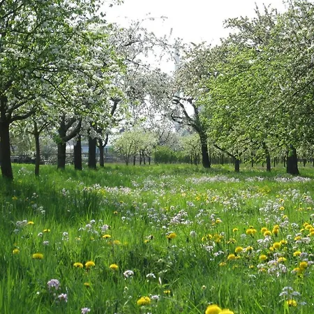 Zwischen Rhein Und Schwarzwald דירה