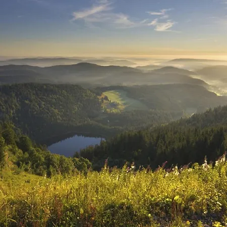 דירה Zwischen Rhein Und Schwarzwald *